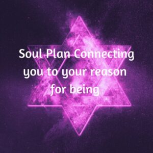 Soul Plan Reading