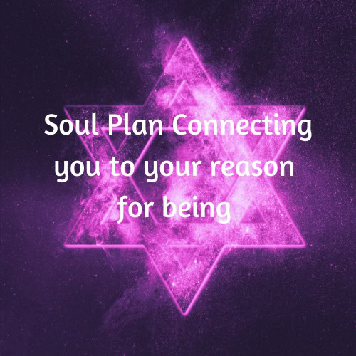 Soul Plan Reading